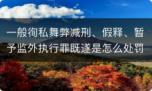 一般徇私舞弊减刑、假释、暂予监外执行罪既遂是怎么处罚的