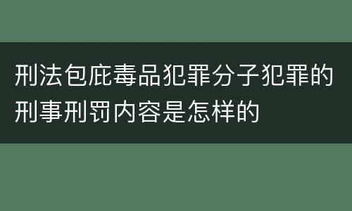 刑法包庇毒品犯罪分子犯罪的刑事刑罚内容是怎样的