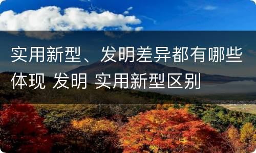 实用新型、发明差异都有哪些体现 发明 实用新型区别