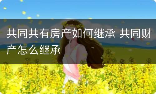 共同共有房产如何继承 共同财产怎么继承