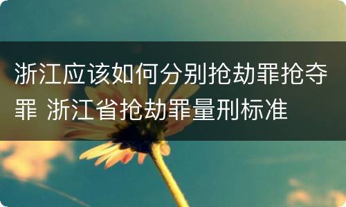 浙江应该如何分别抢劫罪抢夺罪 浙江省抢劫罪量刑标准