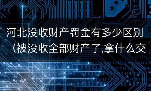 河北没收财产罚金有多少区别（被没收全部财产了,拿什么交罚金）