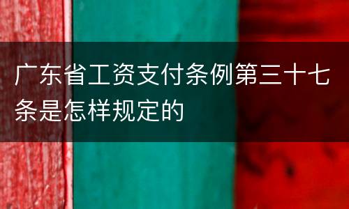 广东省工资支付条例第三十七条是怎样规定的