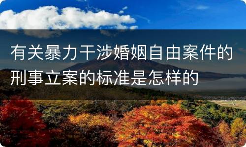 有关暴力干涉婚姻自由案件的刑事立案的标准是怎样的