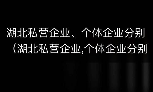 湖北私营企业、个体企业分别（湖北私营企业,个体企业分别有多少家）