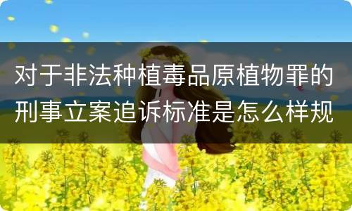 对于非法种植毒品原植物罪的刑事立案追诉标准是怎么样规定