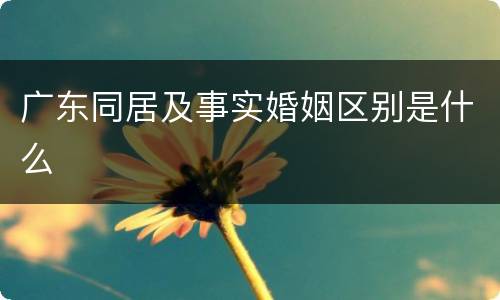 广东同居及事实婚姻区别是什么