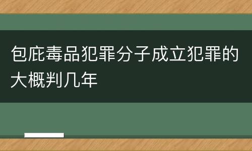 包庇毒品犯罪分子成立犯罪的大概判几年