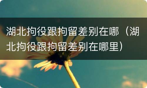 湖北拘役跟拘留差别在哪（湖北拘役跟拘留差别在哪里）