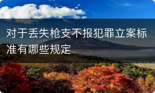 对于丢失枪支不报犯罪立案标准有哪些规定
