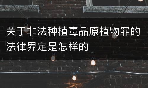 关于非法种植毒品原植物罪的法律界定是怎样的