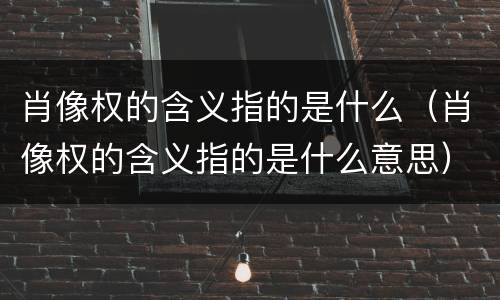 肖像权的含义指的是什么（肖像权的含义指的是什么意思）