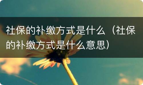 社保的补缴方式是什么（社保的补缴方式是什么意思）