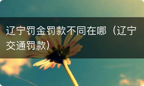 辽宁罚金罚款不同在哪（辽宁交通罚款）