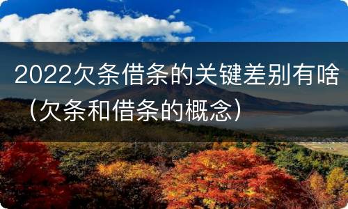 2022欠条借条的关键差别有啥（欠条和借条的概念）