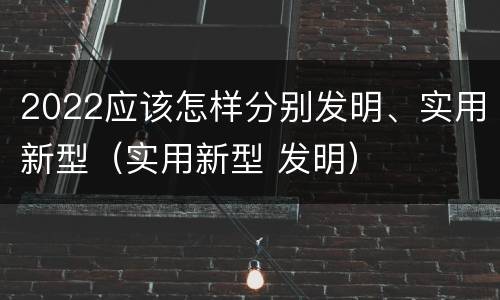 2022应该怎样分别发明、实用新型（实用新型 发明）