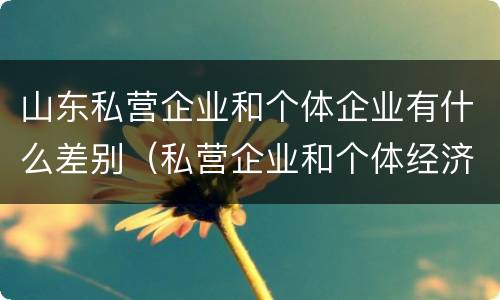 山东私营企业和个体企业有什么差别（私营企业和个体经济的区别）