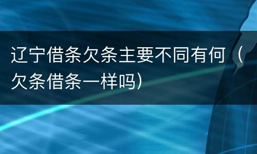 辽宁借条欠条主要不同有何（欠条借条一样吗）