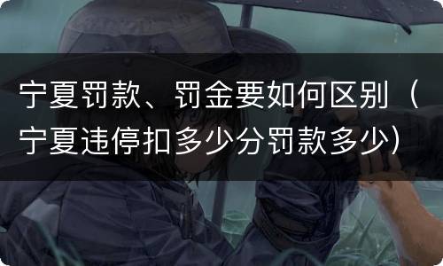 宁夏罚款、罚金要如何区别（宁夏违停扣多少分罚款多少）