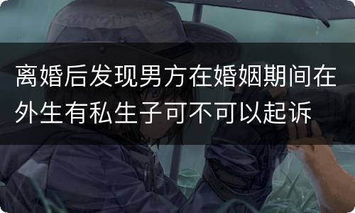 离婚后发现男方在婚姻期间在外生有私生子可不可以起诉