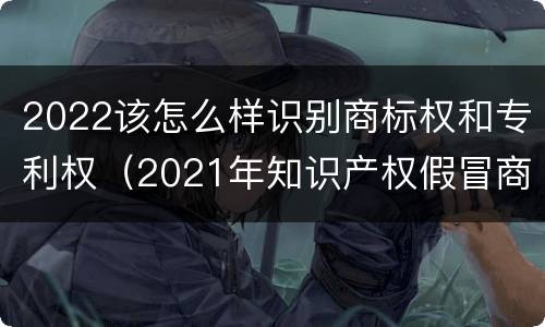 2022该怎么样识别商标权和专利权（2021年知识产权假冒商标法）