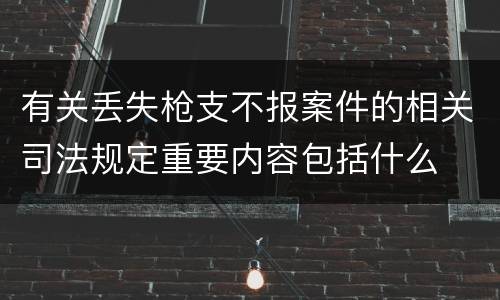 有关丢失枪支不报案件的相关司法规定重要内容包括什么