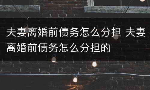 夫妻离婚前债务怎么分担 夫妻离婚前债务怎么分担的
