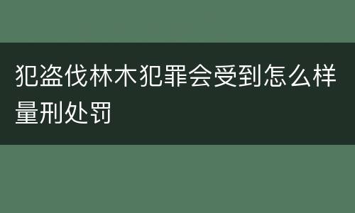 犯盗伐林木犯罪会受到怎么样量刑处罚