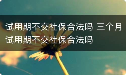 试用期不交社保合法吗 三个月试用期不交社保合法吗
