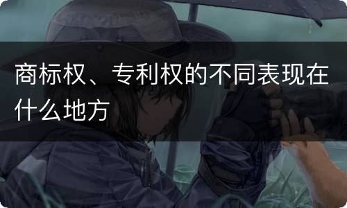 商标权、专利权的不同表现在什么地方