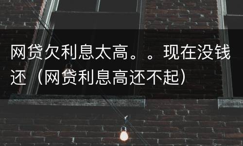 网贷欠利息太高。。现在没钱还（网贷利息高还不起）