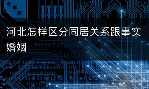河北怎样区分同居关系跟事实婚姻