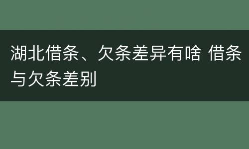 湖北借条、欠条差异有啥 借条与欠条差别