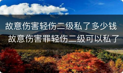 故意伤害轻伤二级私了多少钱 故意伤害罪轻伤二级可以私了吗