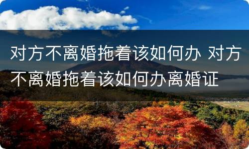 对方不离婚拖着该如何办 对方不离婚拖着该如何办离婚证