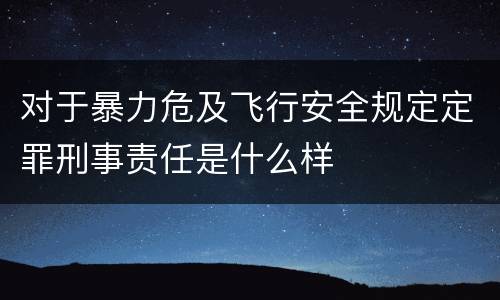 对于暴力危及飞行安全规定定罪刑事责任是什么样