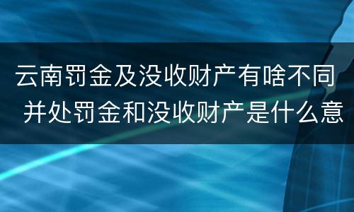 云南罚金及没收财产有啥不同 并处罚金和没收财产是什么意思