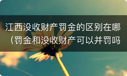 江西没收财产罚金的区别在哪（罚金和没收财产可以并罚吗）