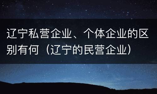 辽宁私营企业、个体企业的区别有何（辽宁的民营企业）