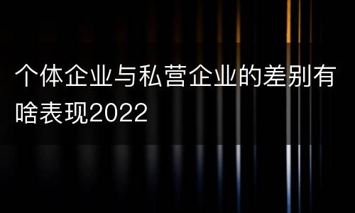 个体企业与私营企业的差别有啥表现2022