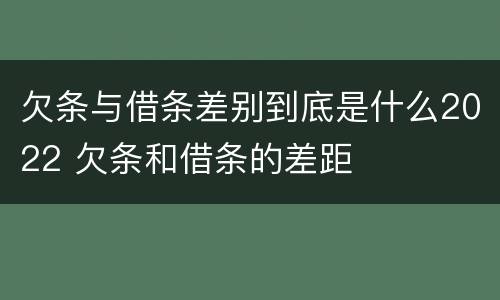 欠条与借条差别到底是什么2022 欠条和借条的差距