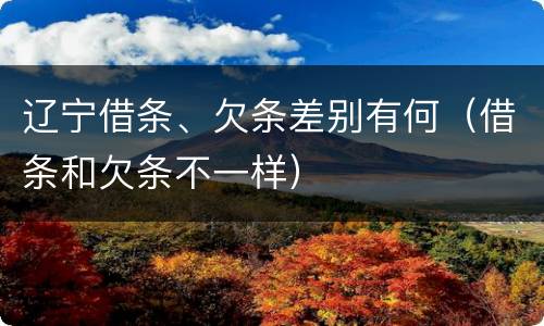 辽宁借条、欠条差别有何（借条和欠条不一样）