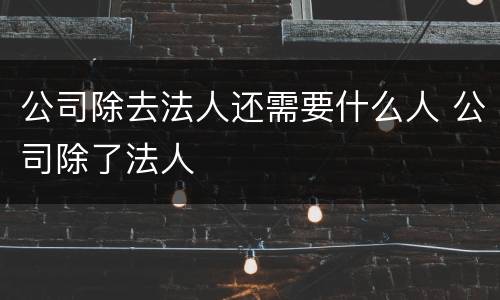 公司除去法人还需要什么人 公司除了法人