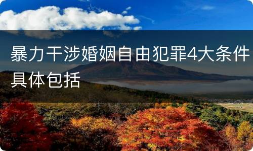 暴力干涉婚姻自由犯罪4大条件具体包括