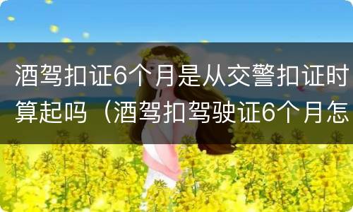 酒驾扣证6个月是从交警扣证时算起吗（酒驾扣驾驶证6个月怎么办）