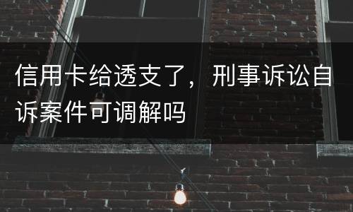 信用卡给透支了，刑事诉讼自诉案件可调解吗