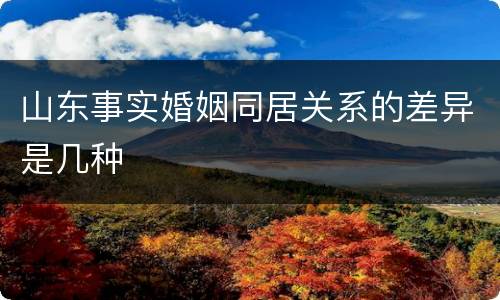 山东事实婚姻同居关系的差异是几种