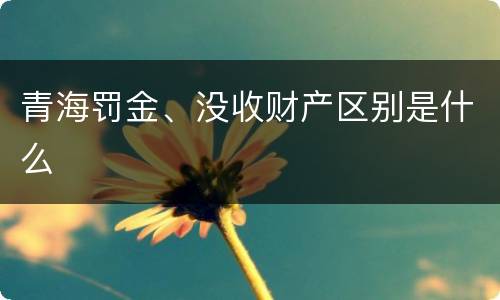 青海罚金、没收财产区别是什么