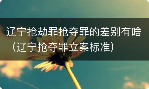 辽宁抢劫罪抢夺罪的差别有啥(辽宁抢夺罪立案标准)