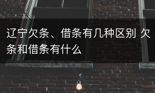 辽宁欠条、借条有几种区别 欠条和借条有什么